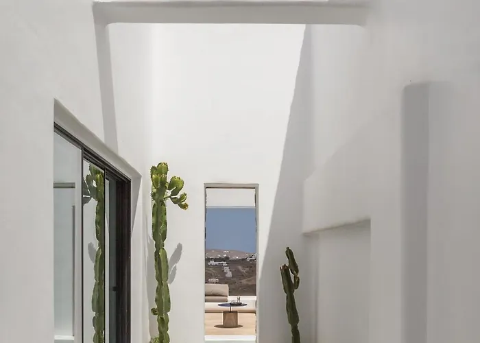 Maera Maximus * Mykonos Town