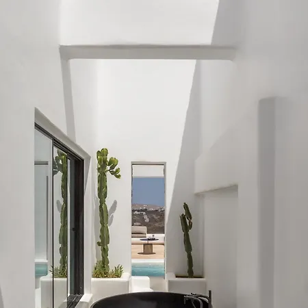 Maera Maximus * Mykonos Town